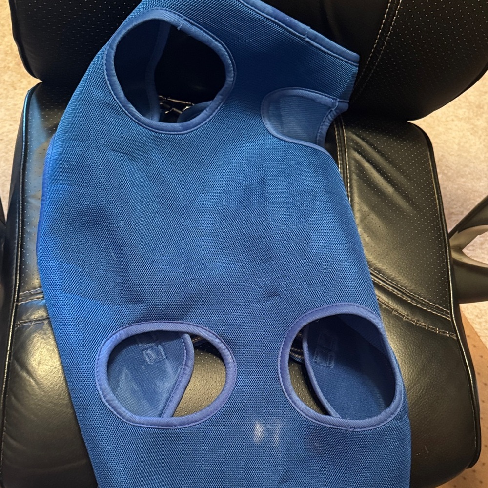 Blue Mesh Pet Harness Vest